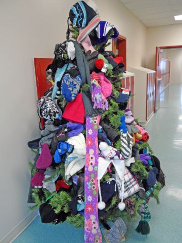 Mitten tree