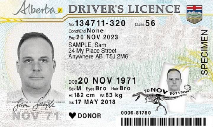 new drivers licence card1