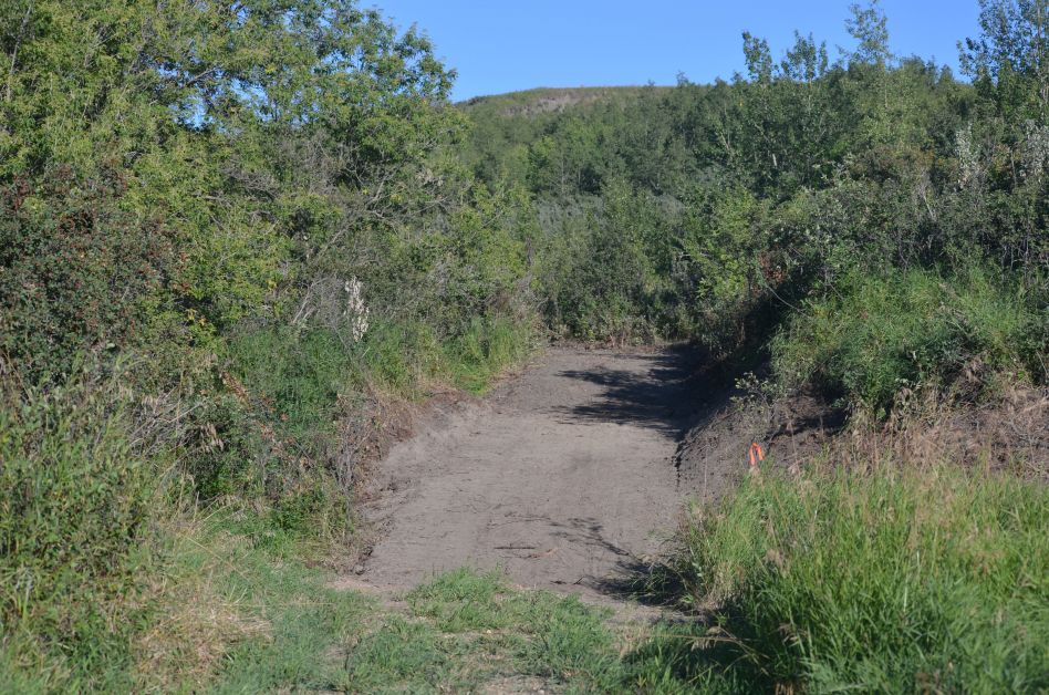 carbon walking path repairs