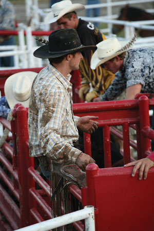 bull2008.jpg