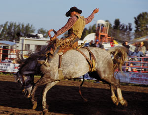 rockyfordrodeo2008.jpg